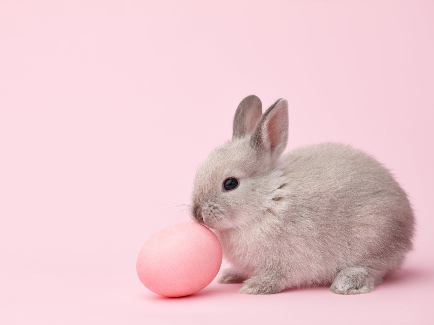 Fröhliche Ostertage: Geschenkideen für Kinder - Pink Papaya Toys